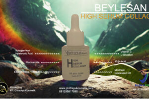 high serum collagen beylesan